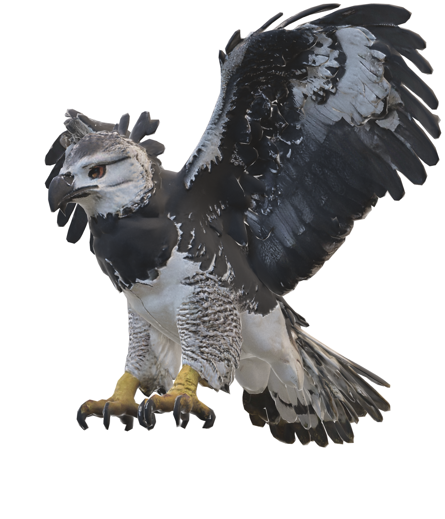 Águila harpía