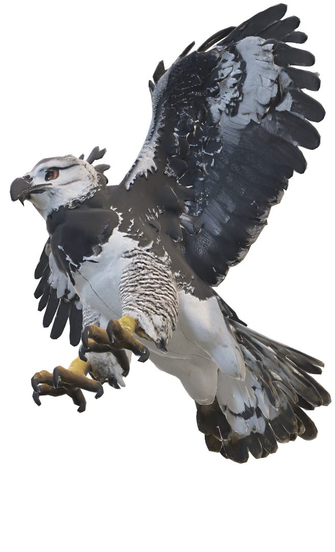 Águila harpía